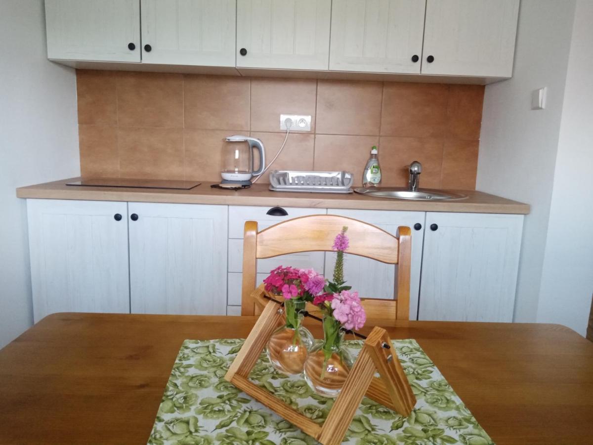 Apartmany Jablunkov Extérieur photo